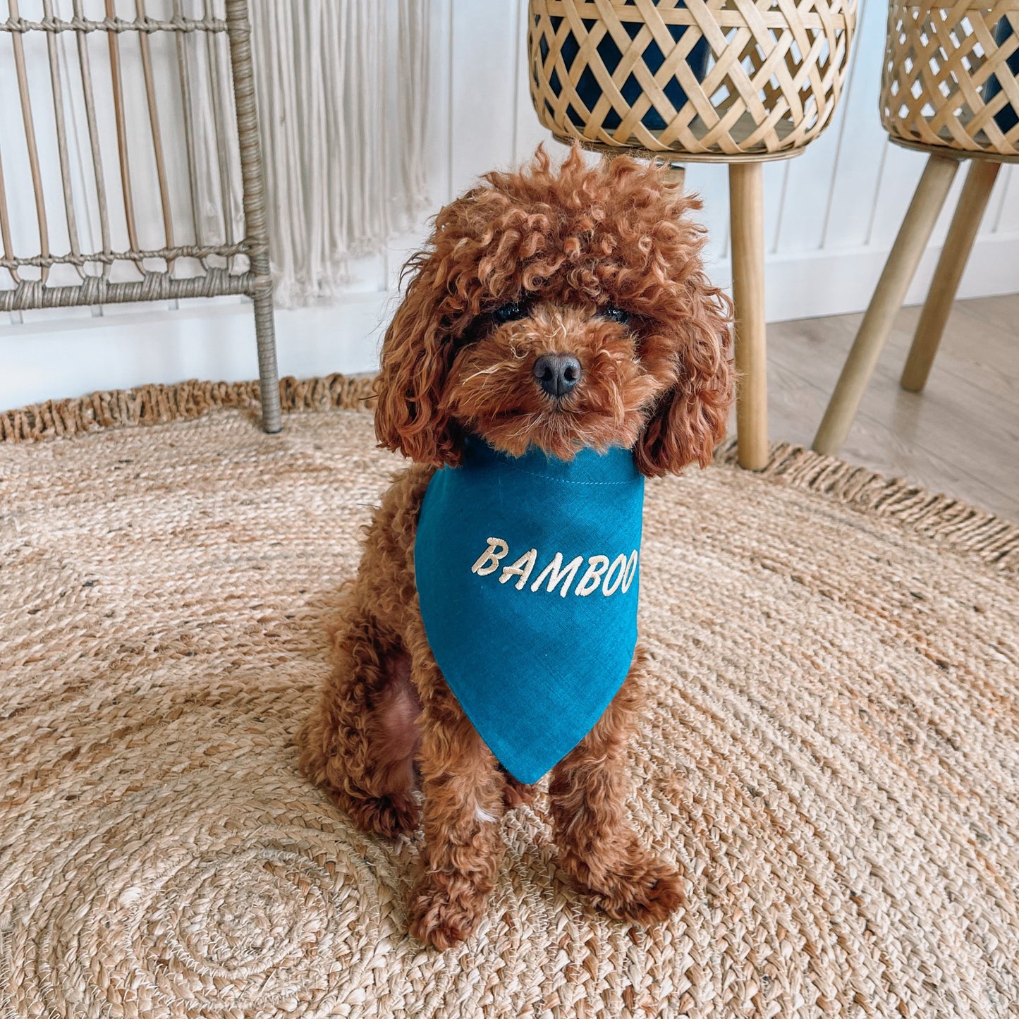 embroidered dog bandana 