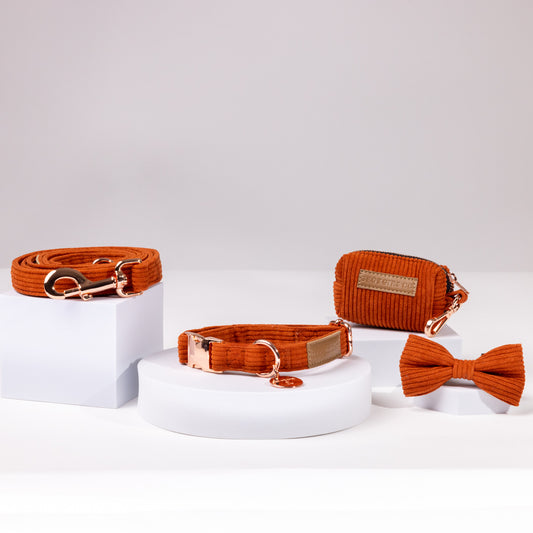 Hadley Luxury Rusty Orange Corduroy Collar Set