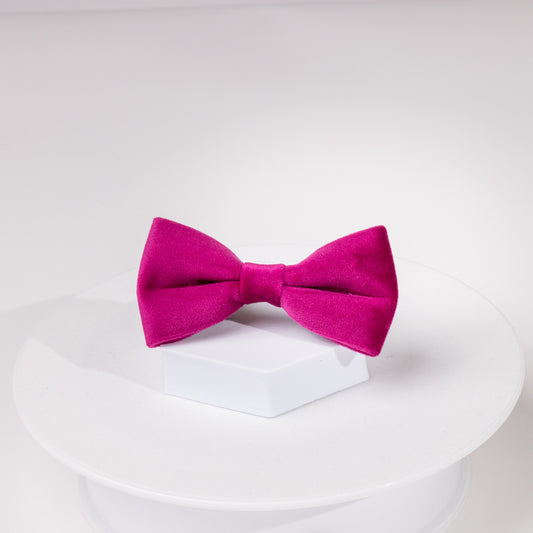 Layla Luxury Fuchsia Velvet Bow Tie