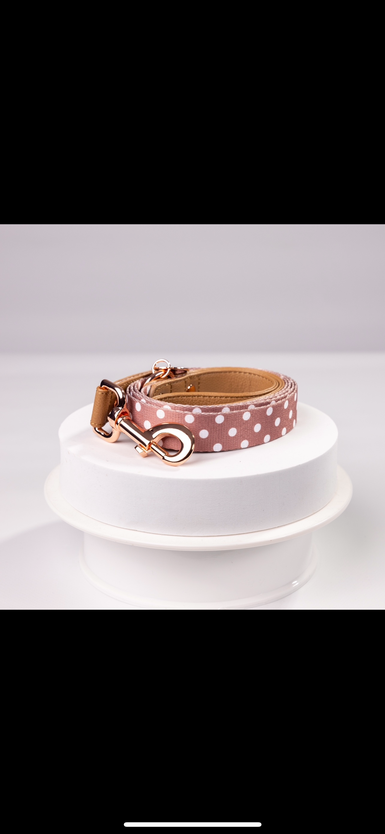 Brantley Polka Dot Collar Set