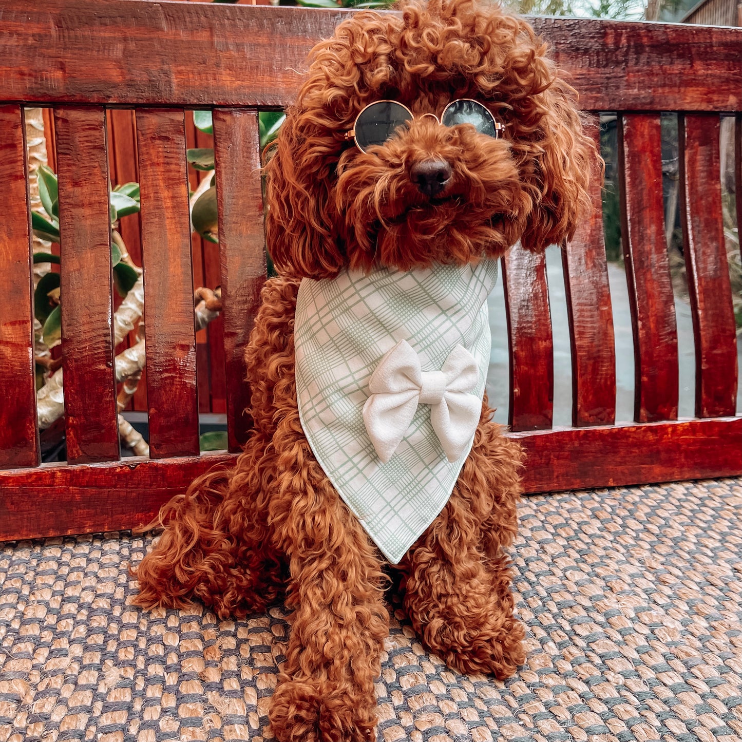 Charlie Green/White Triangle Bandana with Bow