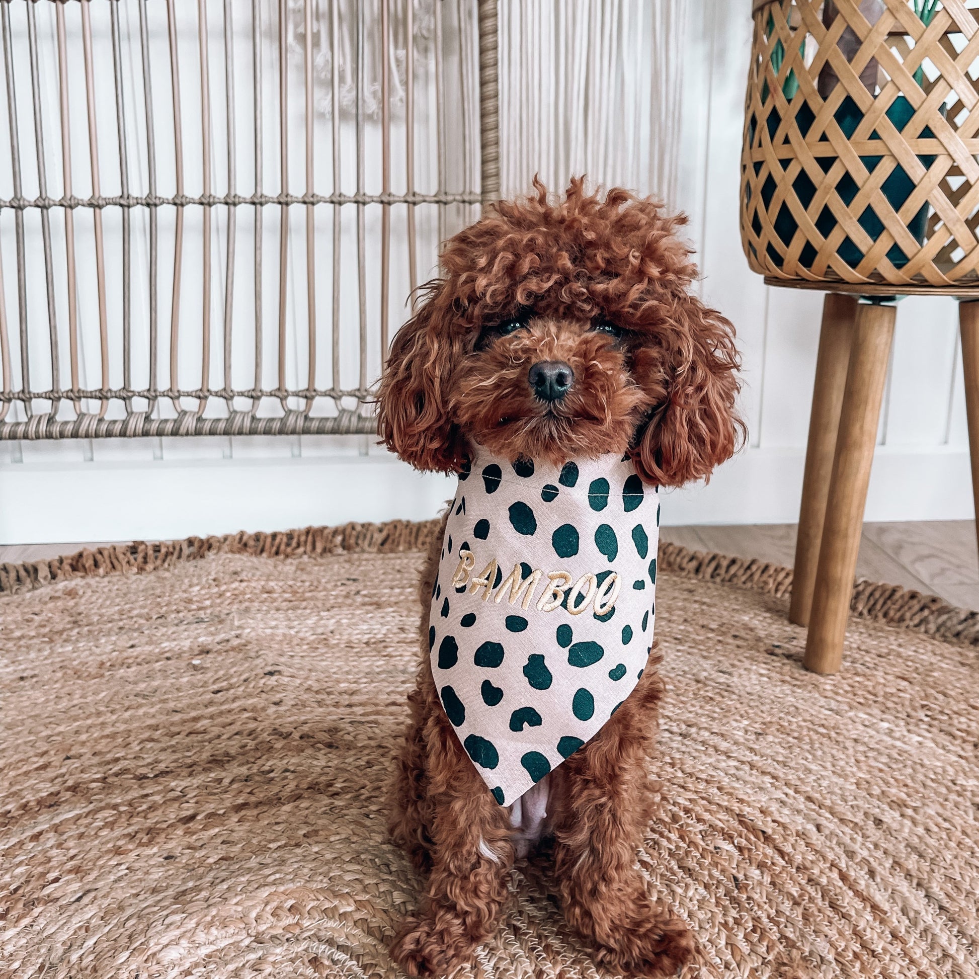 personalised leopard pet bandana 