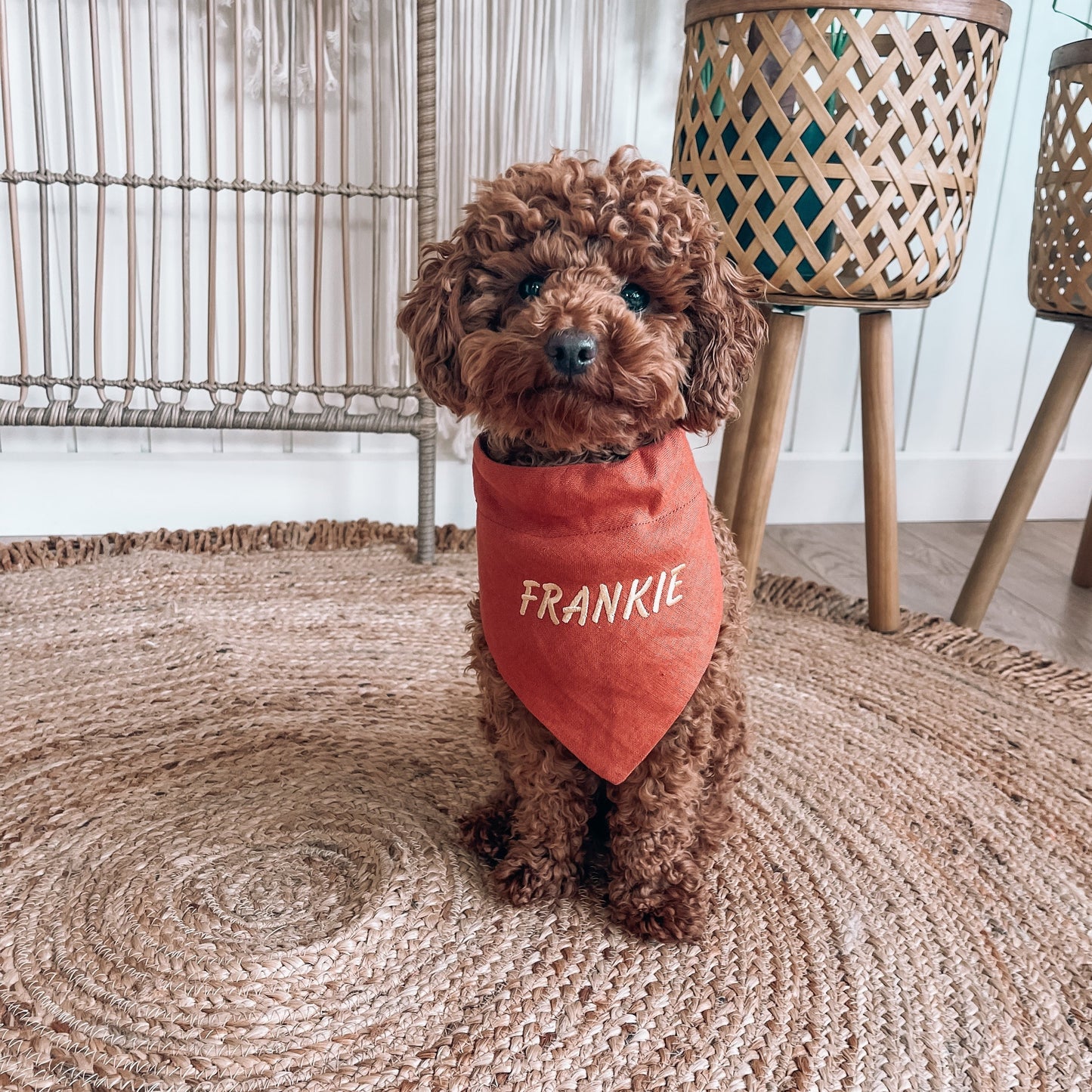 dog bandana gold embroidered