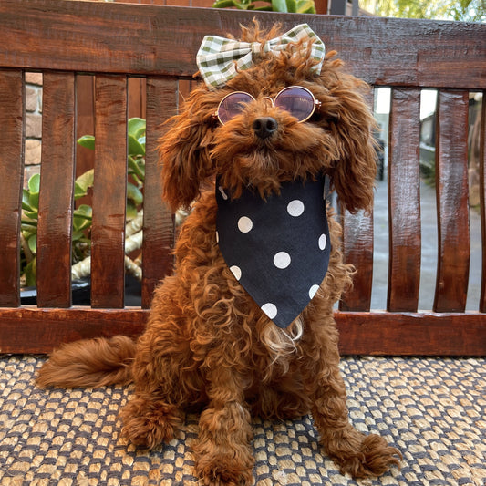 navy blue dog bandana 