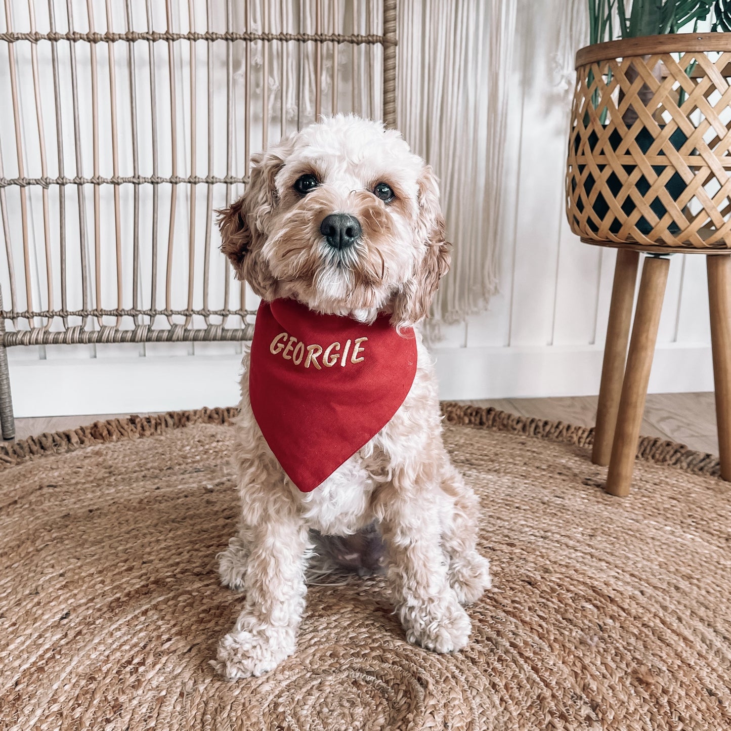 red over the collar dog bandana 