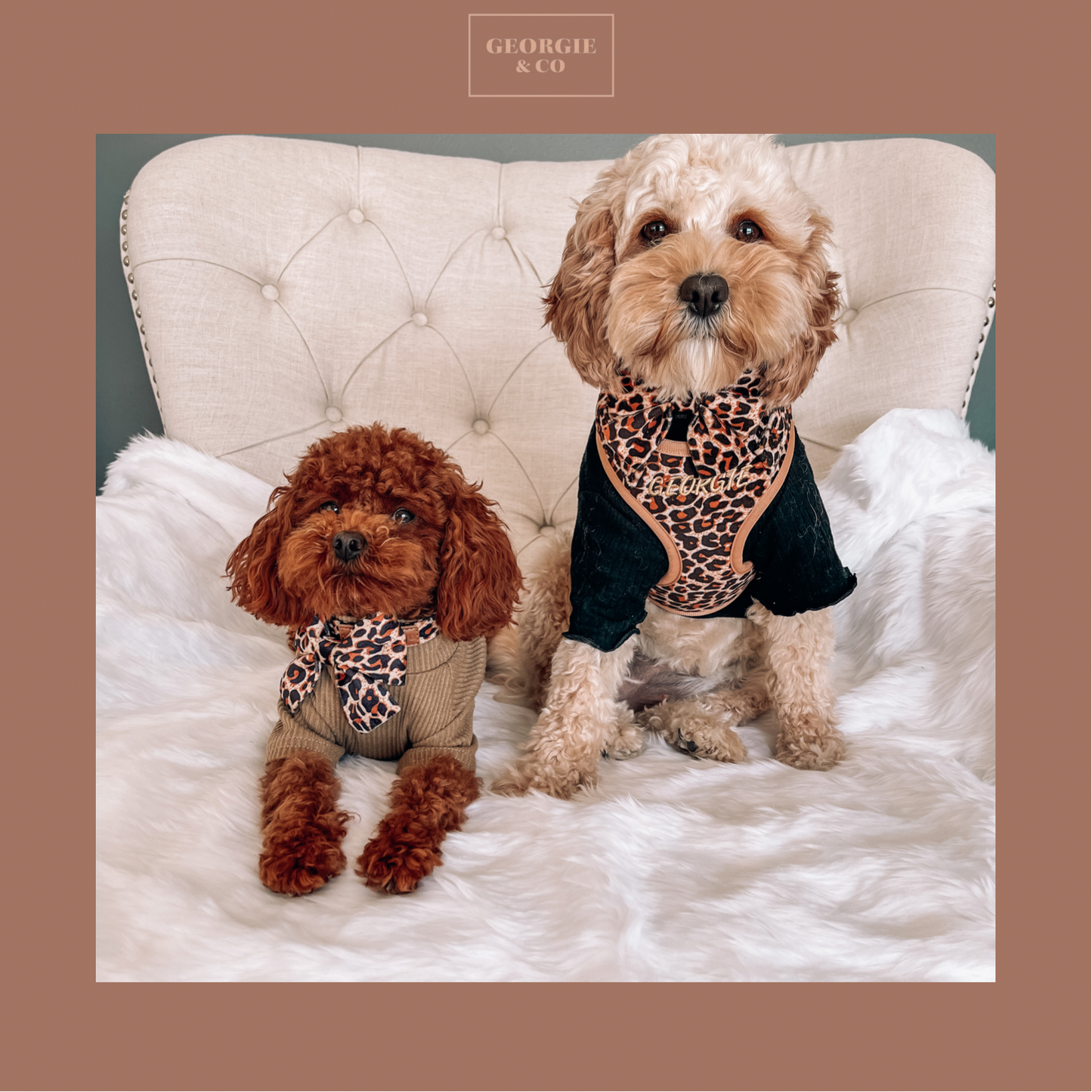 Presley Luxury Leopard Personalised Harness Set