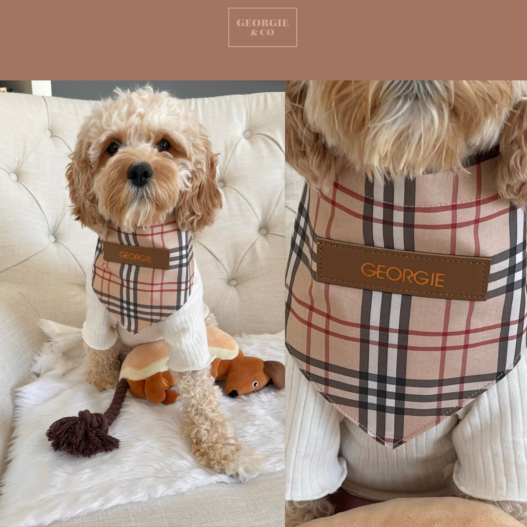 Shiloh Personalised Tartan Bandana