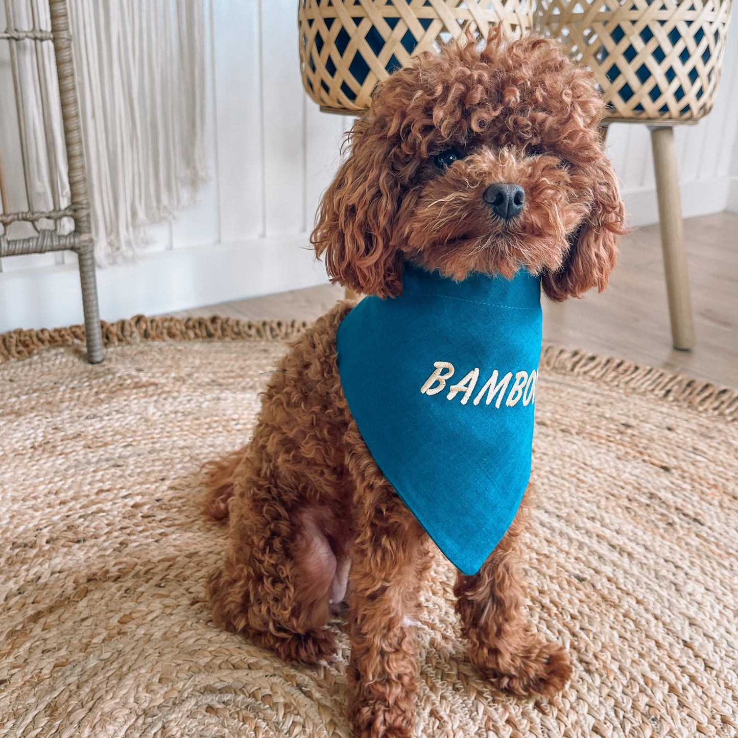 Personalised dog bandana 