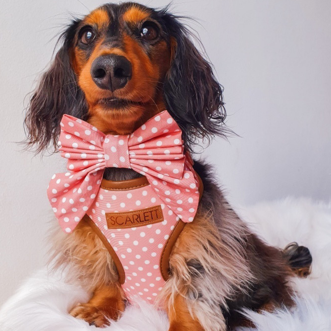 Melody Polka Dot Personalised Harness Set