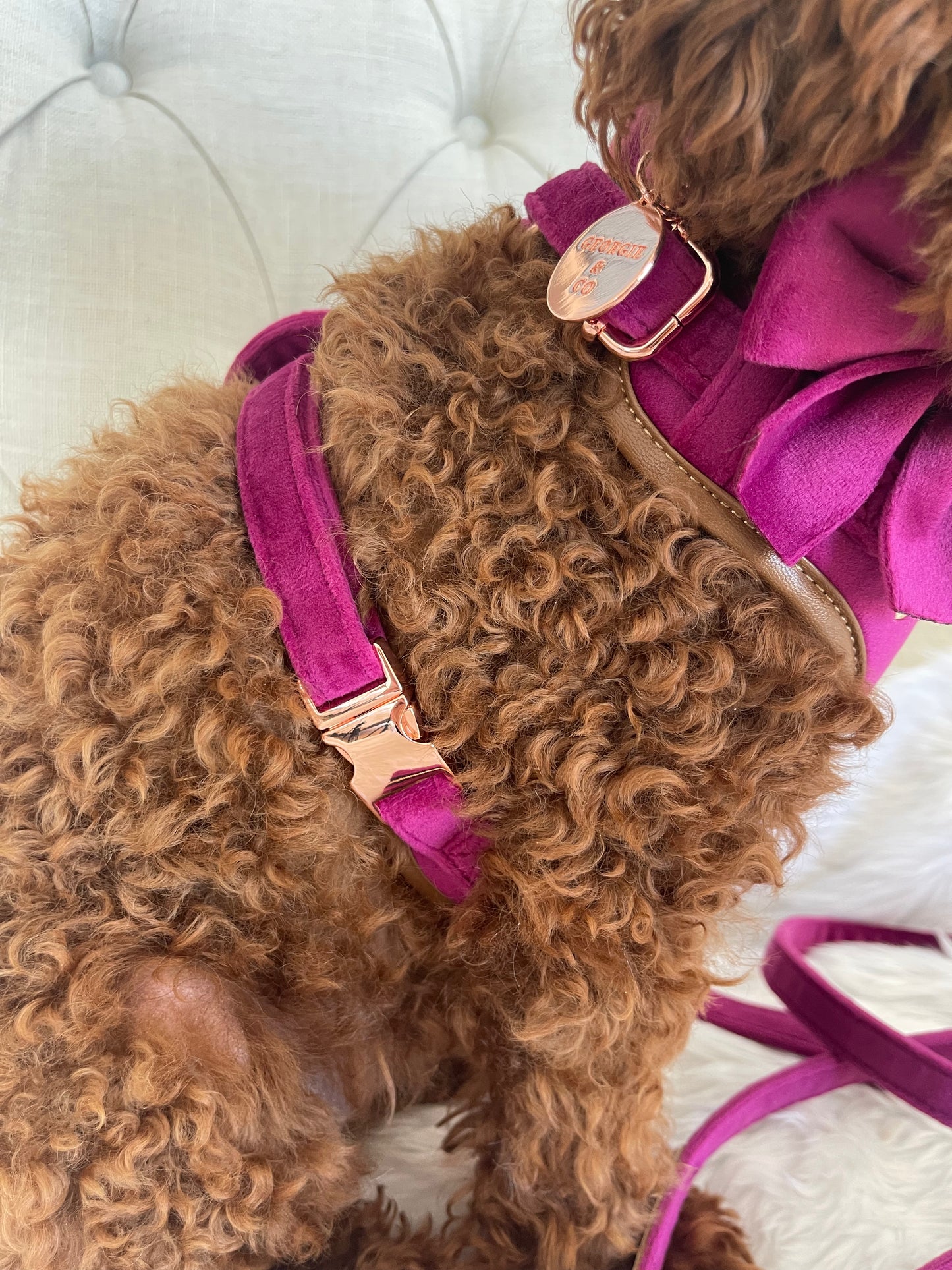 Layla Luxury Fuchsia Velvet Personalised Harness Set