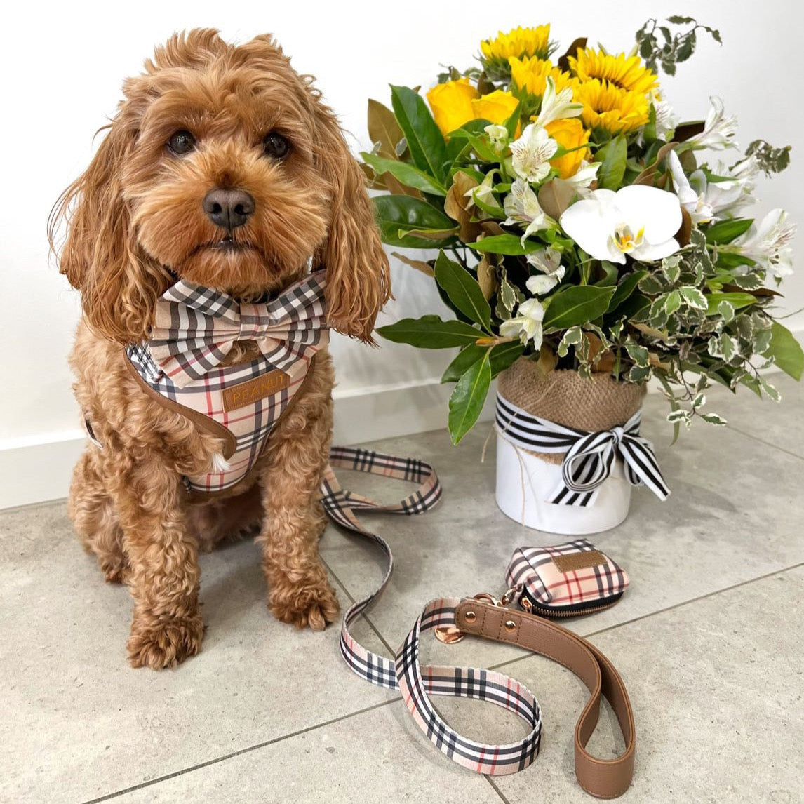 Shiloh Tartan Personalised Harness Set