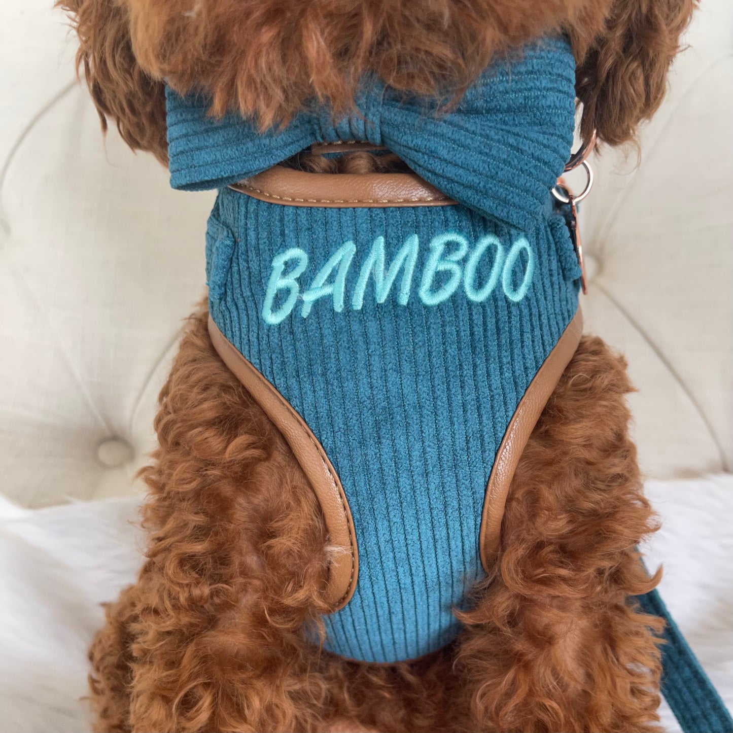 Barkley Luxury Blue Corduroy Personalised Harness Set